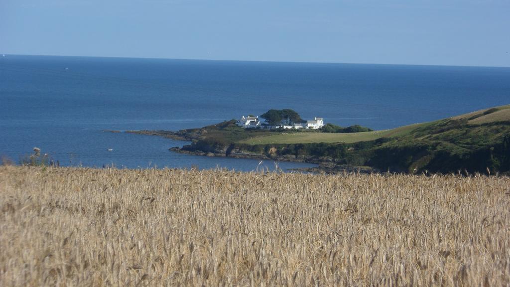 Wild Air Guest House Mevagissey Zewnętrze zdjęcie